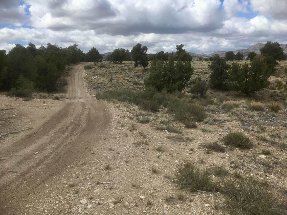 Ice Plant Road photo 5