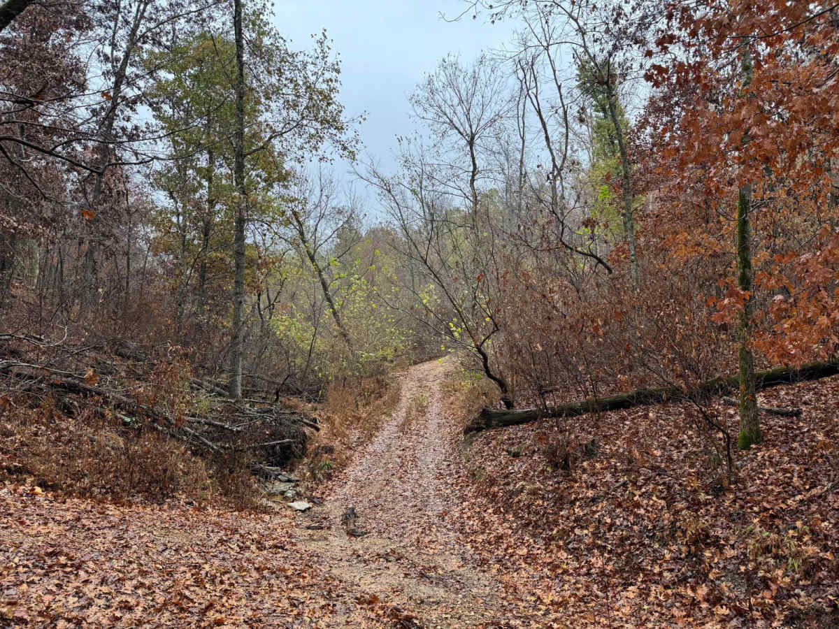 Yellow 101 trail photo