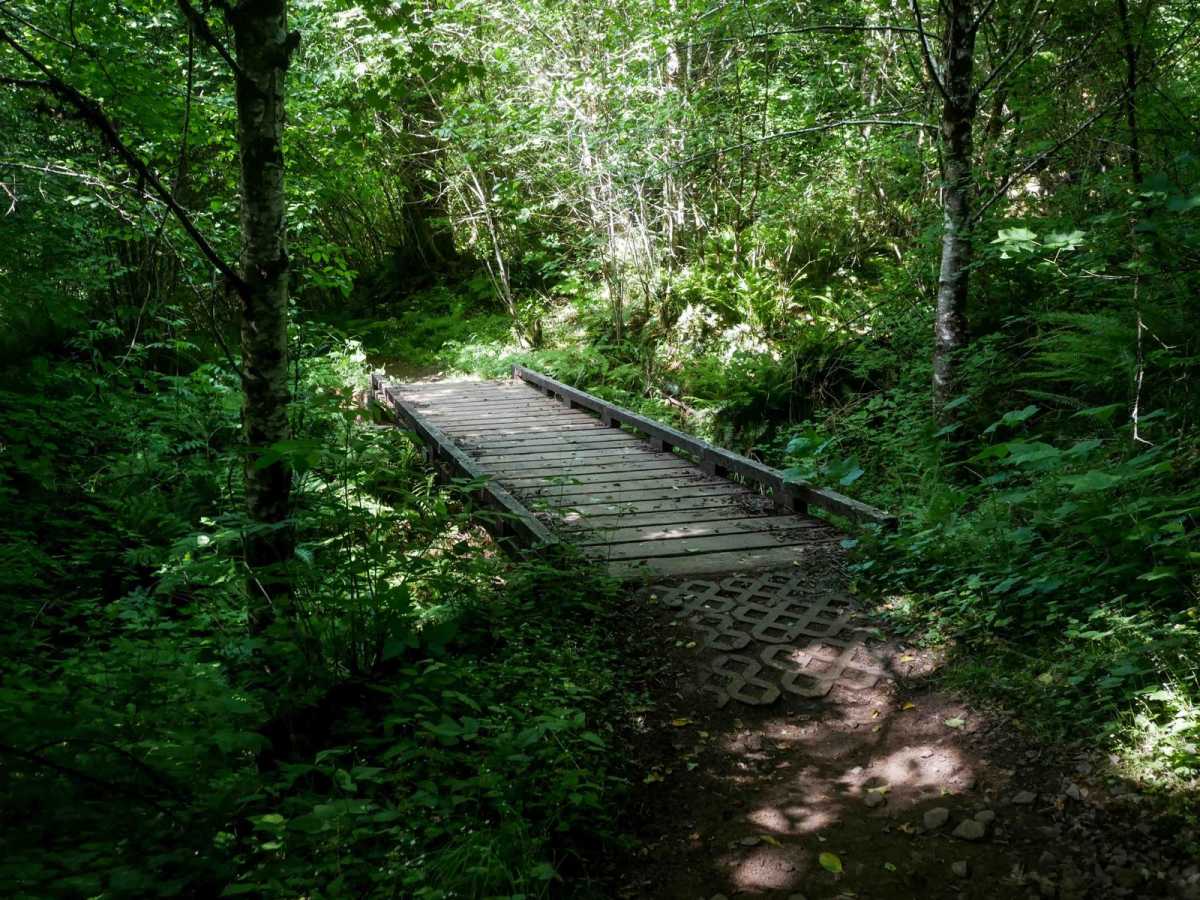 Spaur Creek #39 trail photo