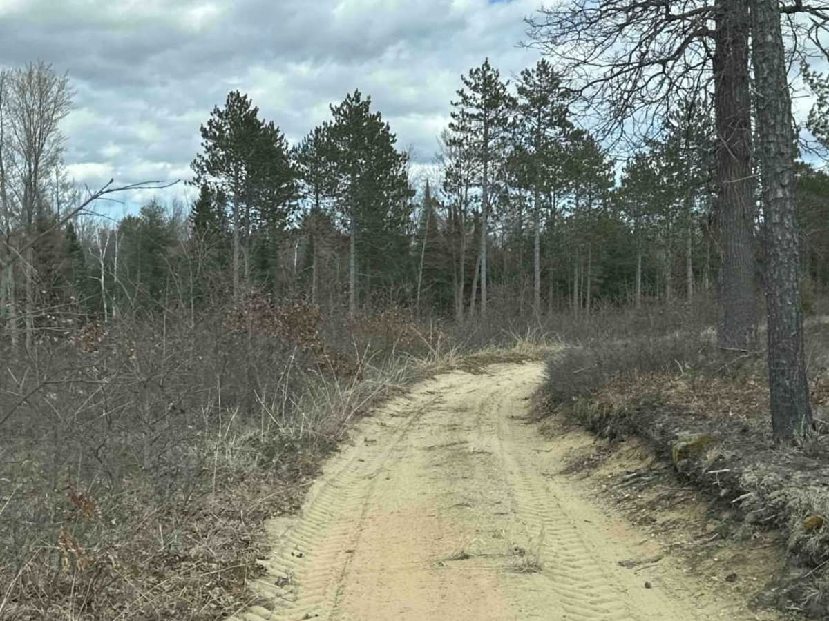 FS 4571 photo 2