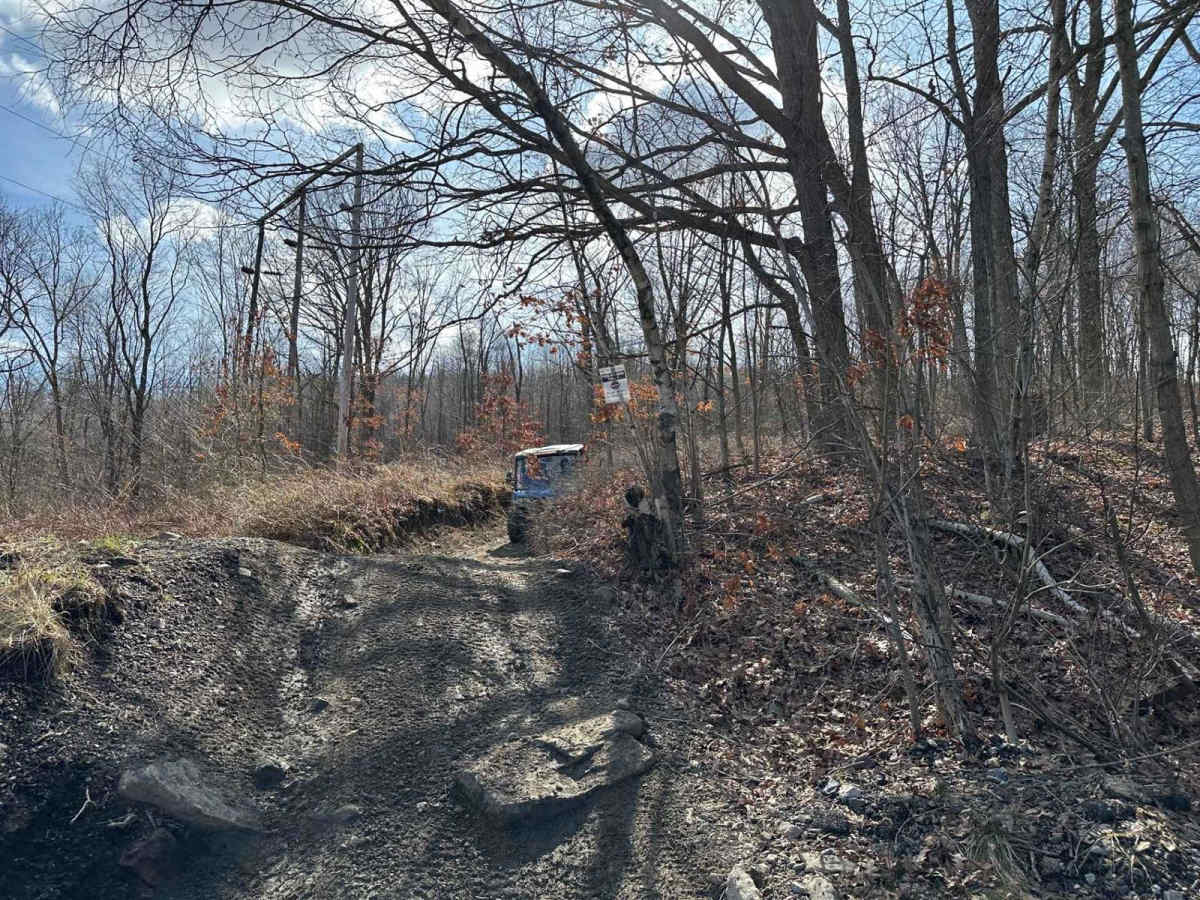 Locust Gap 49 photo 5