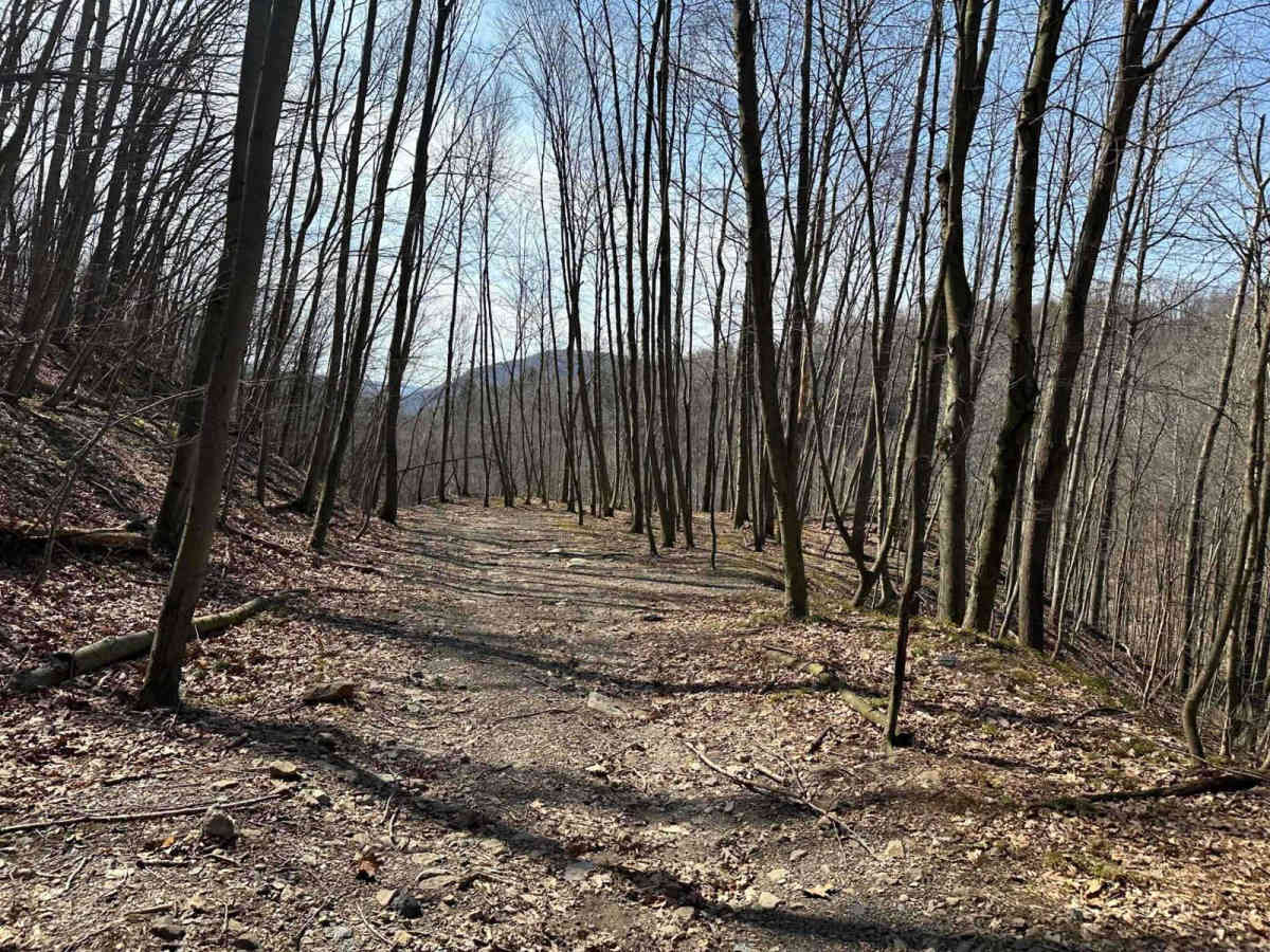Ashland 5 photo 3