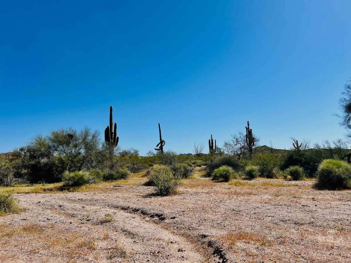 Jimmie Wash Trail photo 4