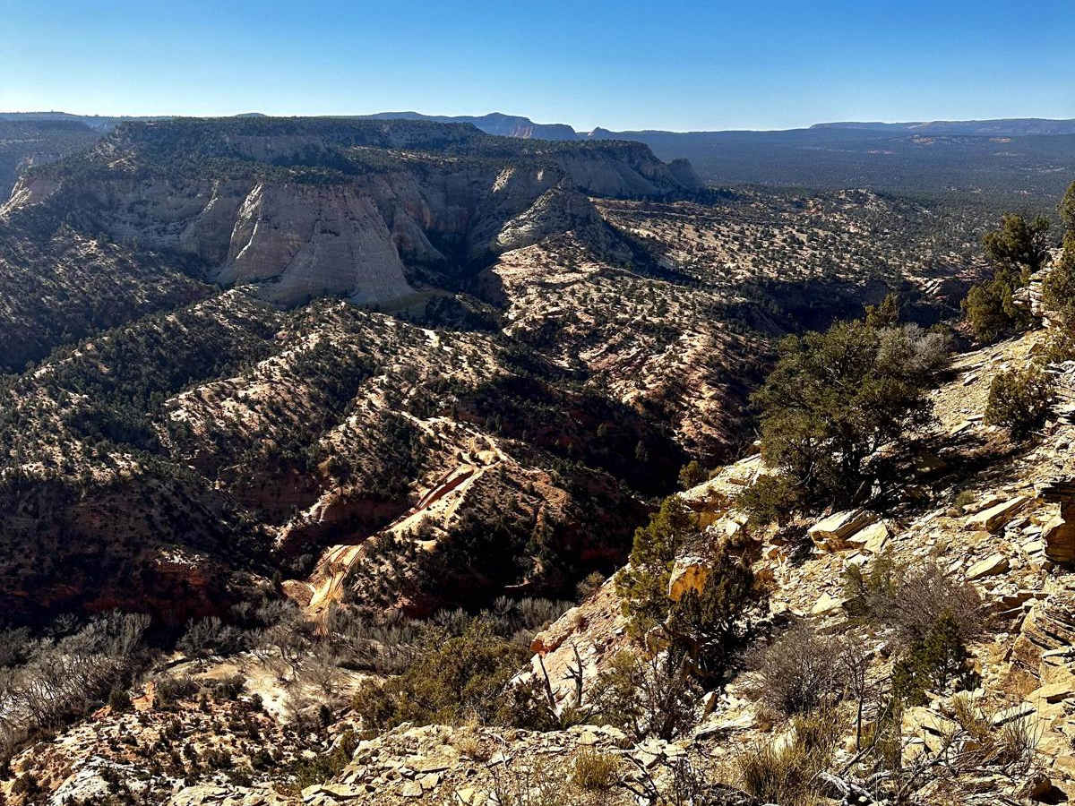 BLM 73M photo 2