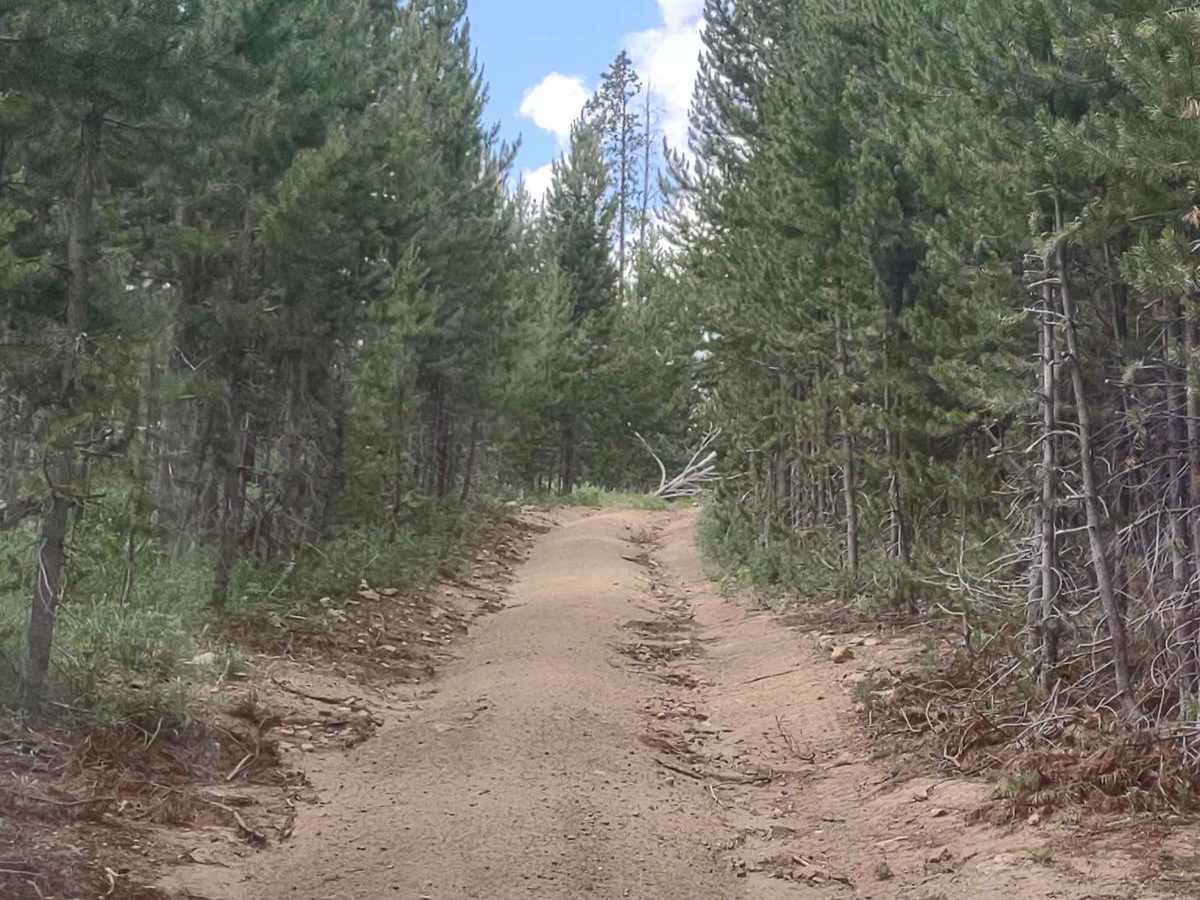 Cattle Drive to Bear Gulch photo 6