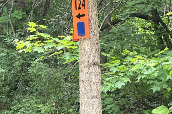 124