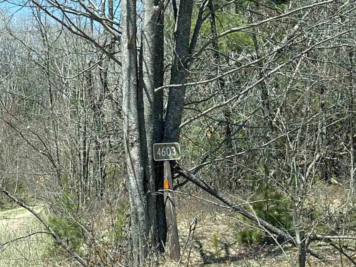 FS 4603 trail photo