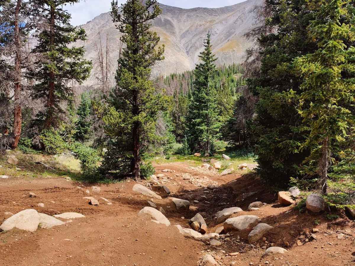 Browns Creek Trail photo 3