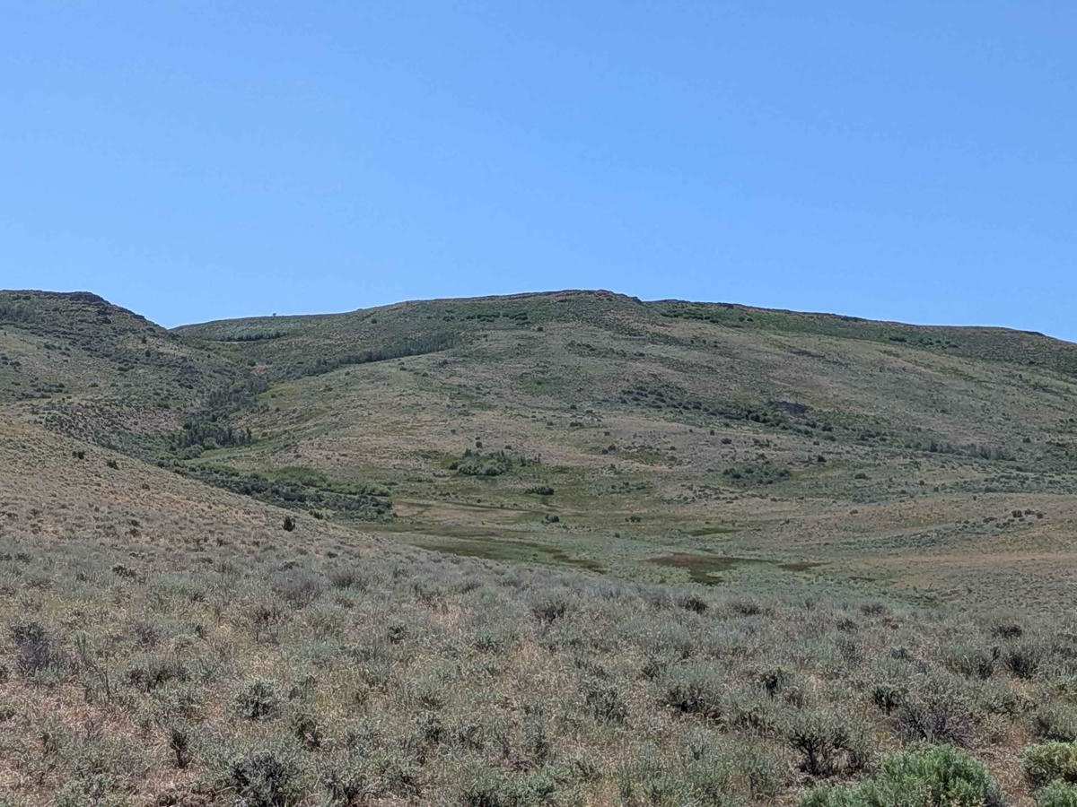Mahogany Gap Road photo 4