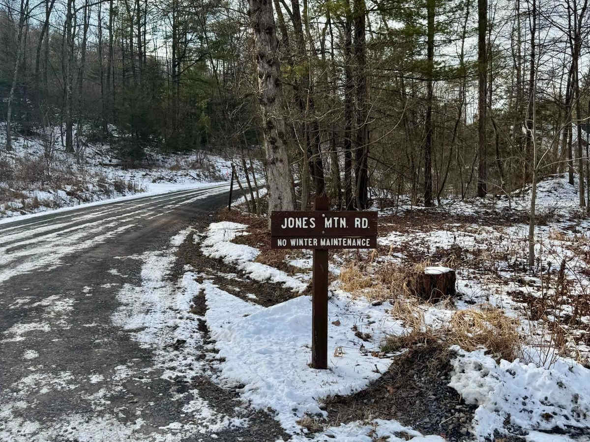 Jones Mountain Road trail photo
