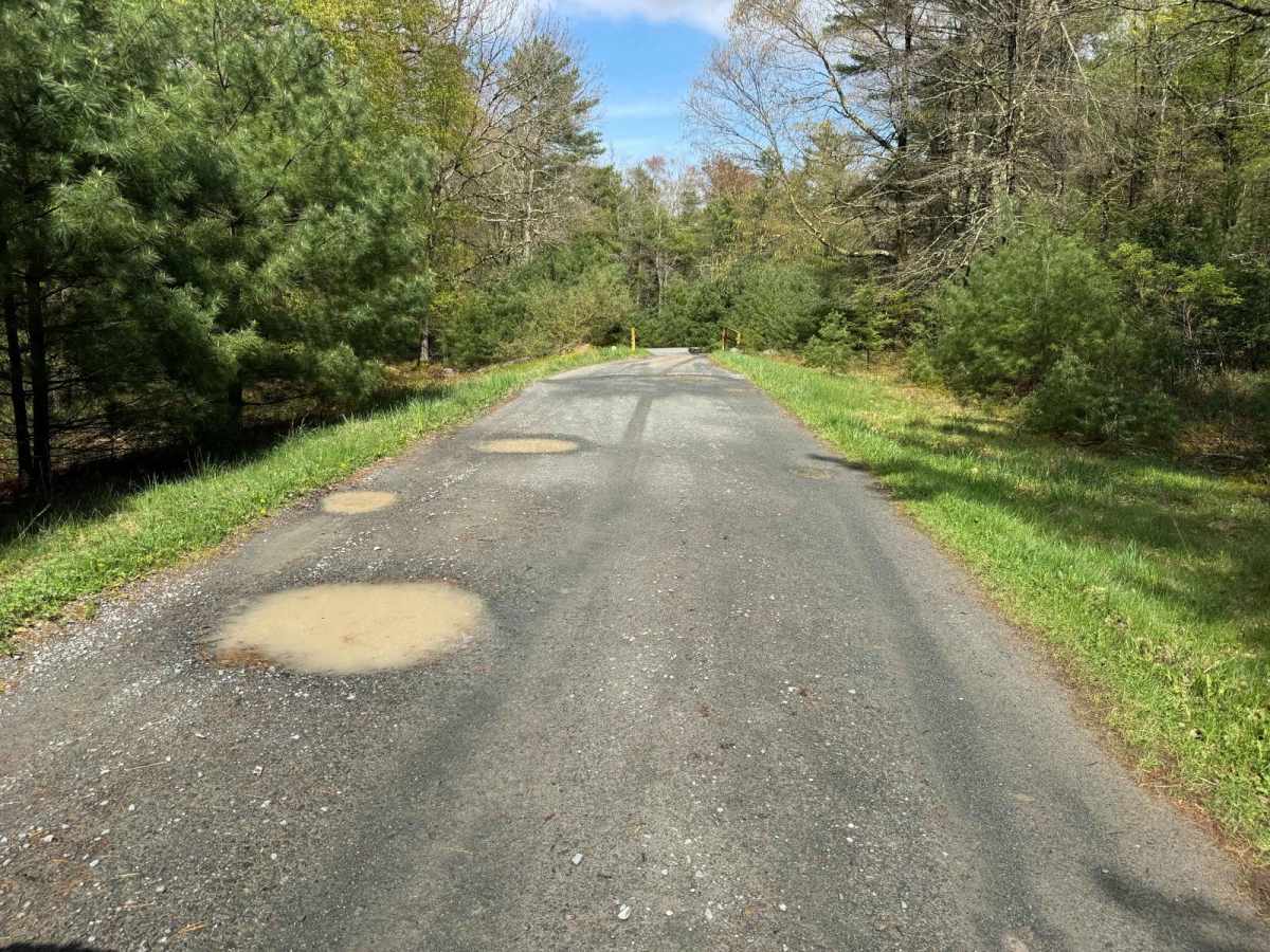 Hickock Brook Trail photo 2