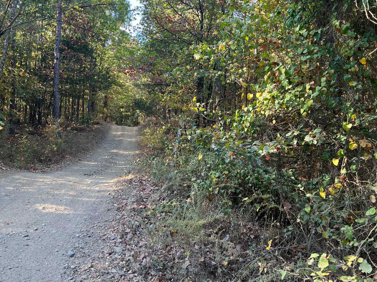 Forest Road - N09A photo 4