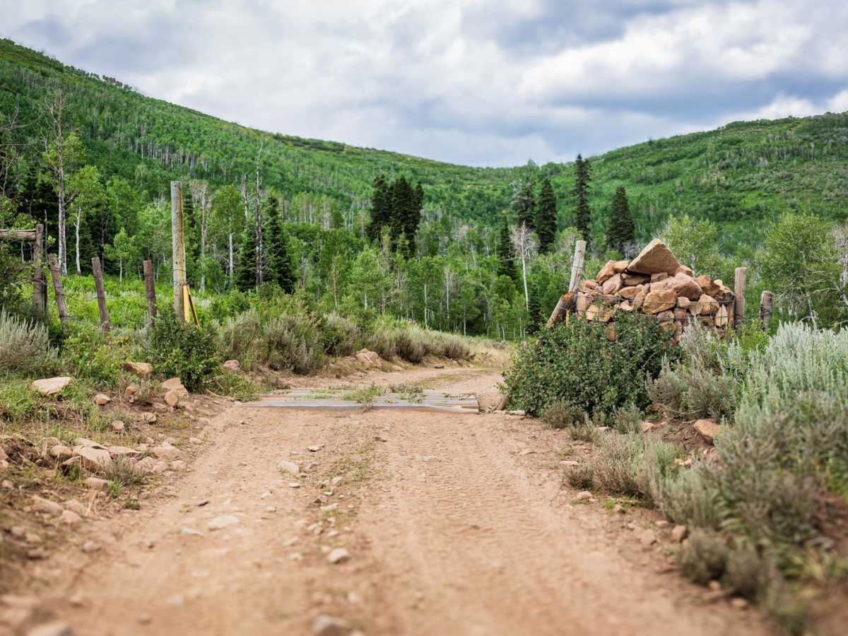 Strawberry Ridge - FR 70135 photo 2
