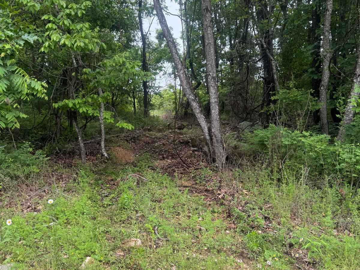 Hudson's Hideaway photo 2