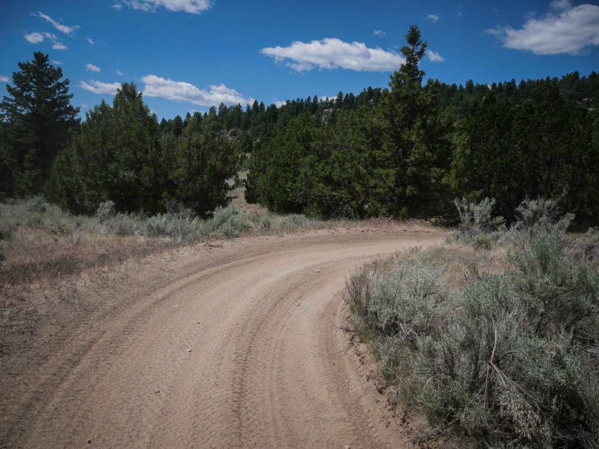 BLM 8 photo 3