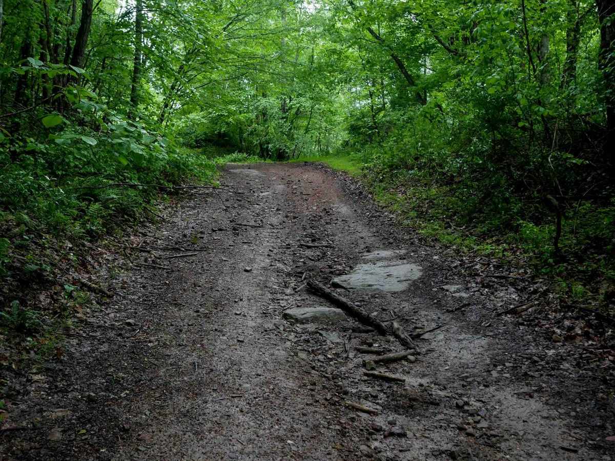 IB 54 trail photo