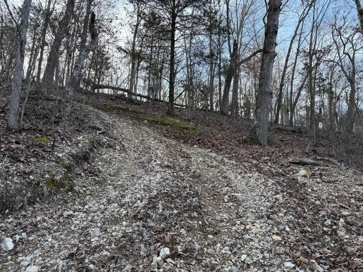 Yellow 360 photo 6