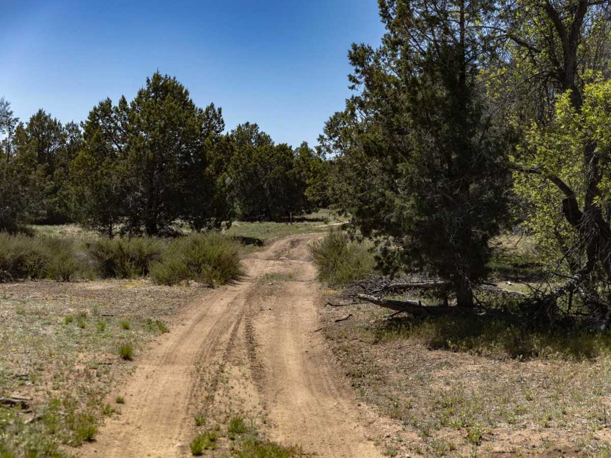 Jordan Well photo 3