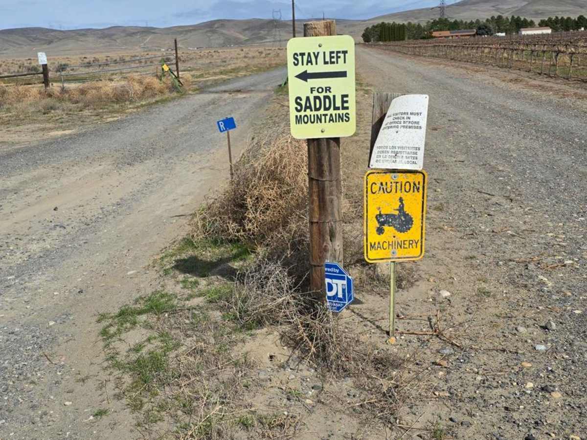 West Saddle Mountains Ridge trail photo
