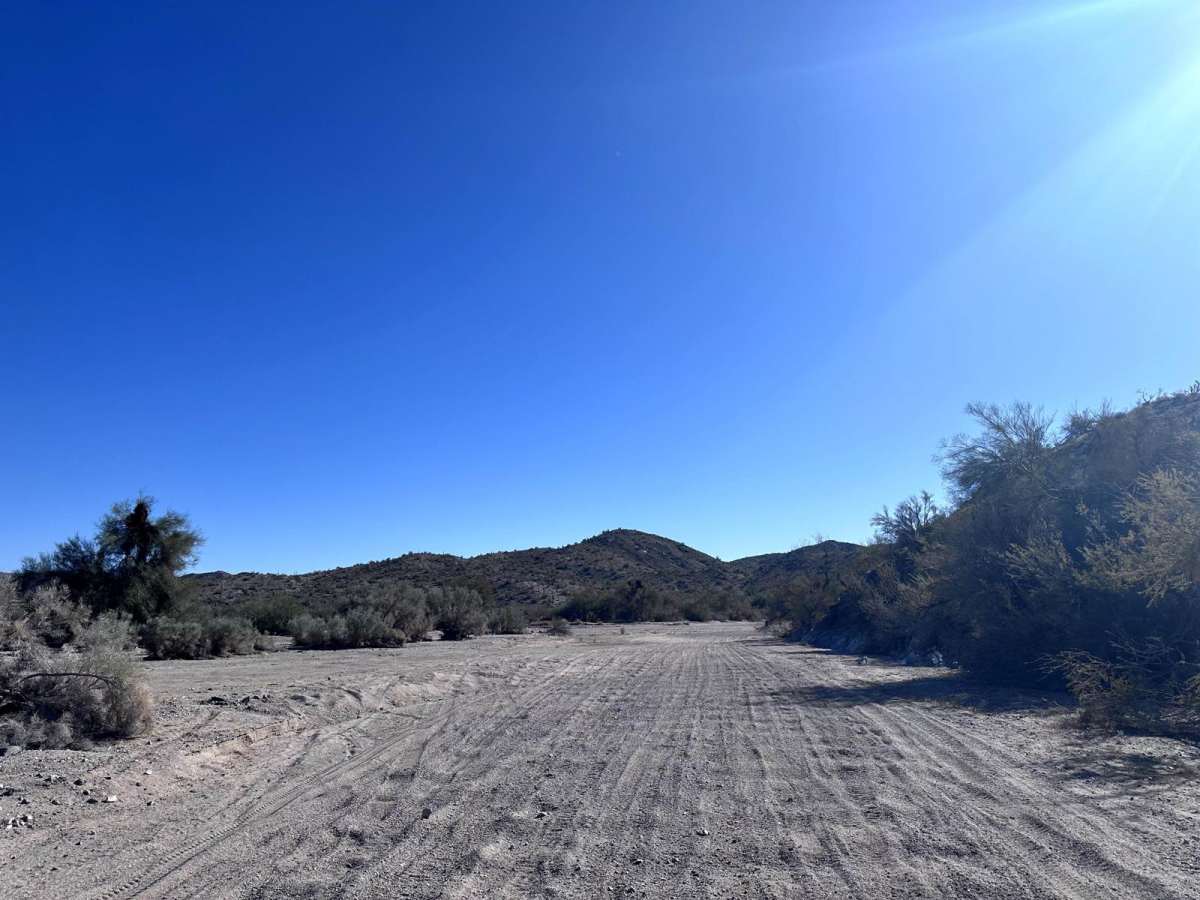 Lower Mohave Wash trail photo