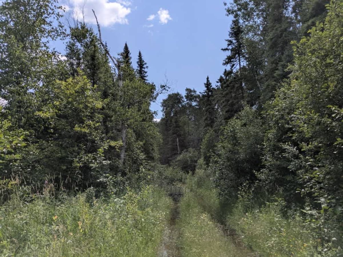 1902 trail photo