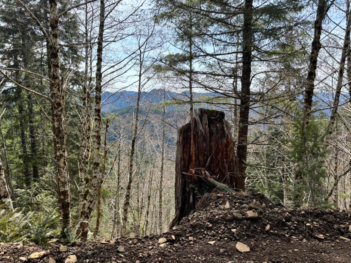 Firebreak 3 East photo 5