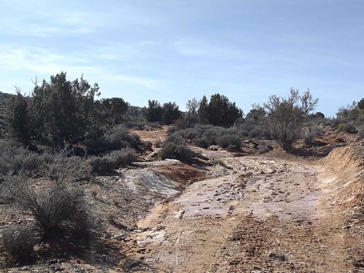 Leeds Creek - Cottonwood Vista Loop photo 3