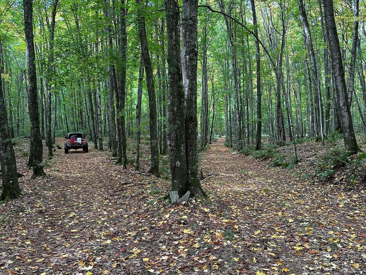 FS 2553 trail photo
