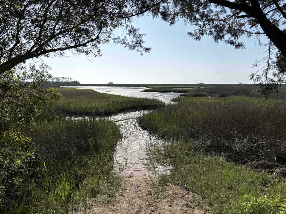 Purify Bay Road trail photo