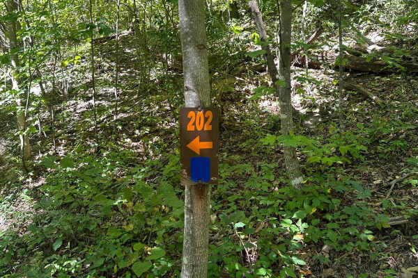 202