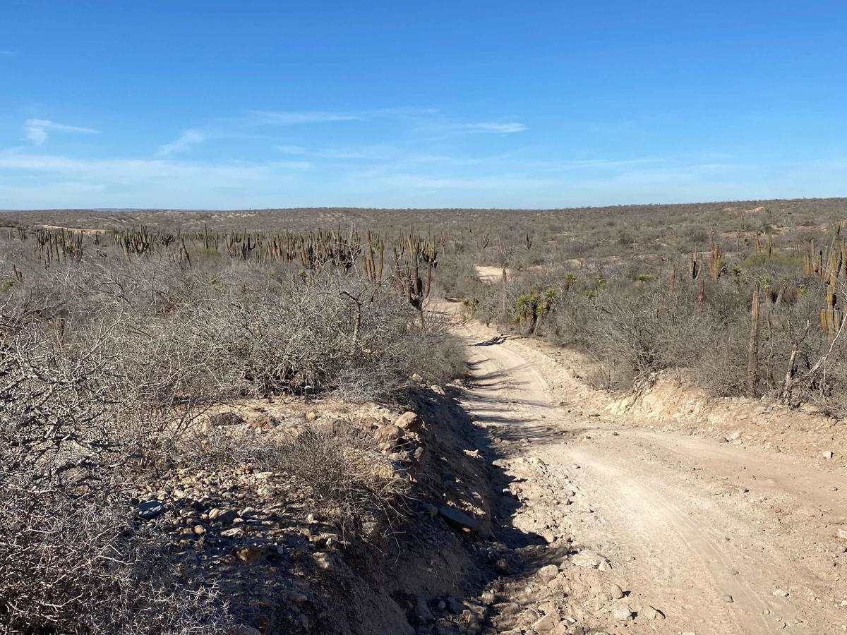New Road Meliton photo 5