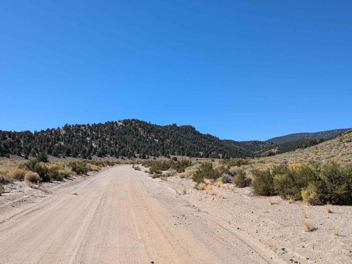 McGee Canyon Road trail photo