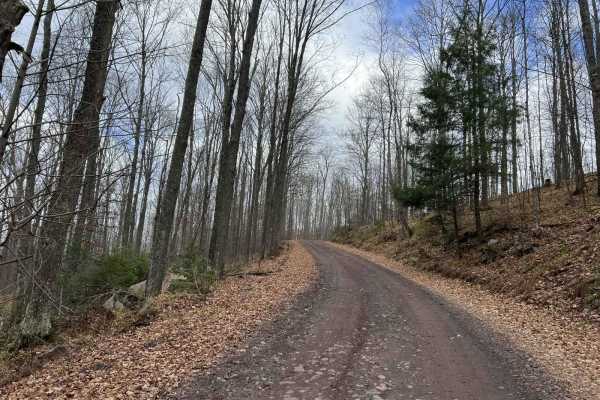 Florence County Trail H- Northwoods Drive