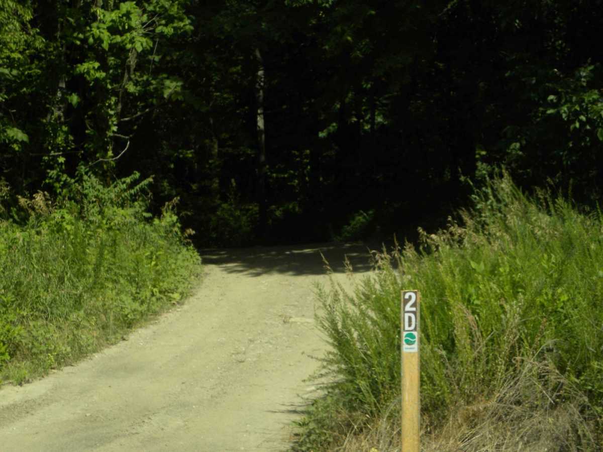Trail 2D(easy) trail photo