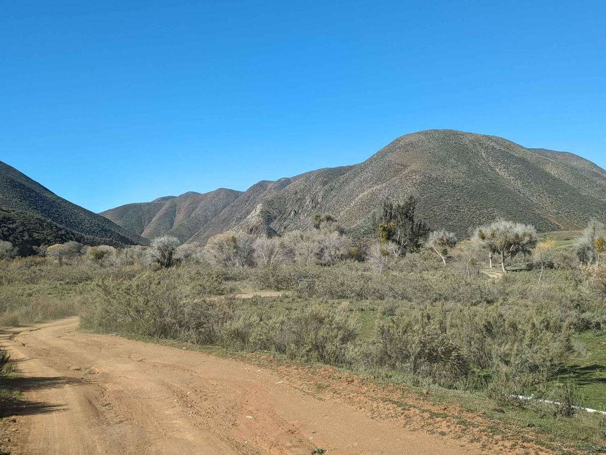 The Holy Grail from Punta Colonet to El Coyote Ranch photo 6