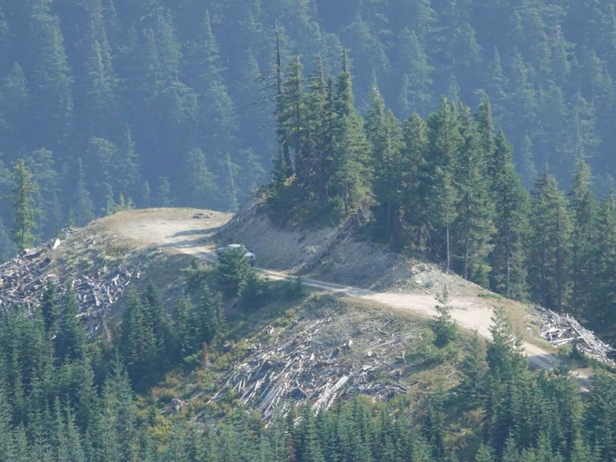 Greenwater/Naches Trail trail photo