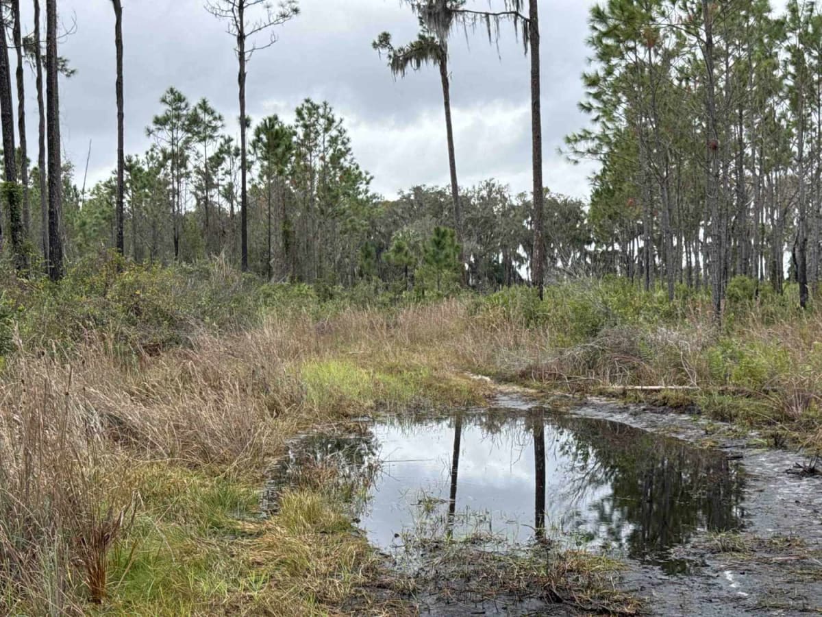 Burnt Island Loop trail photo