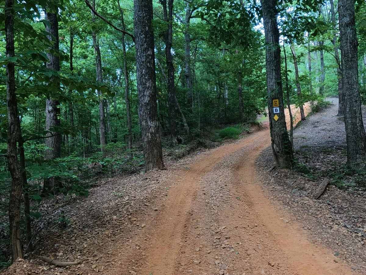 Silo Trail - 5 to B Road photo 5
