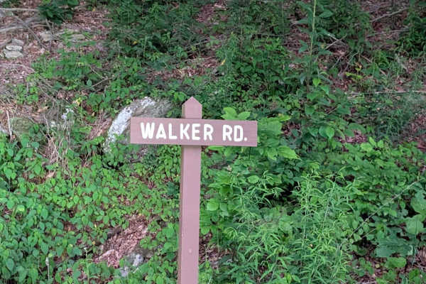 Walker Road