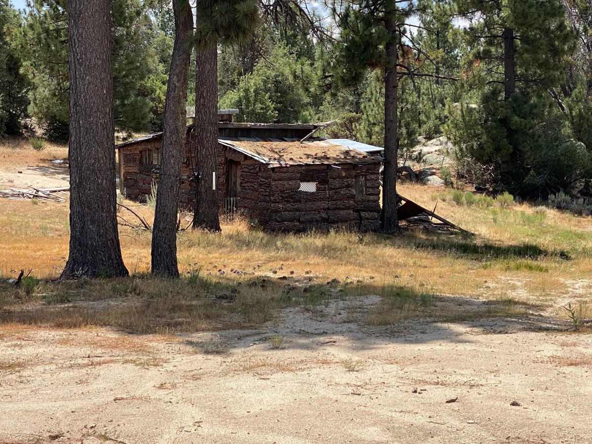 Old Road to Rancho Venados trail photo