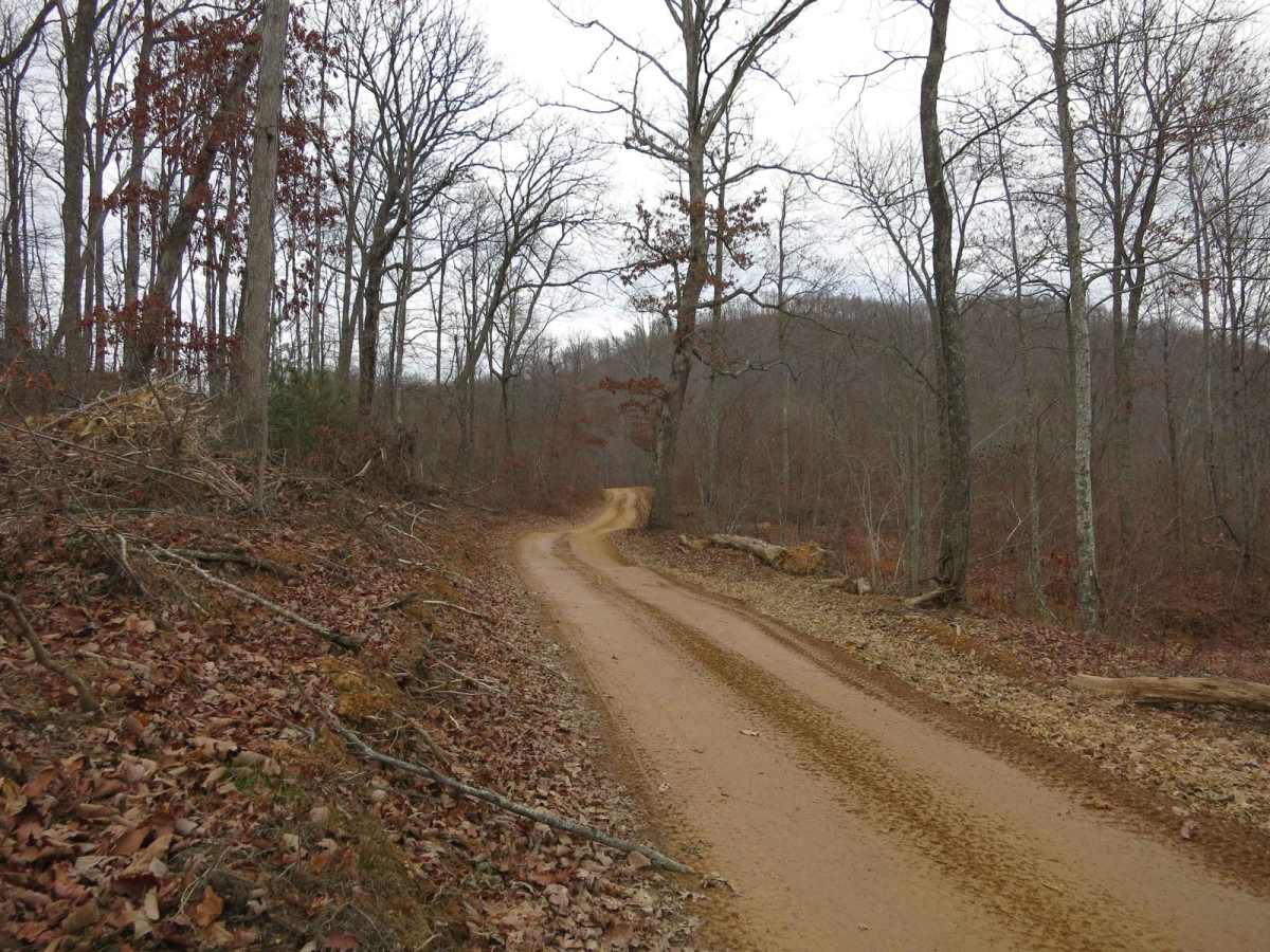 Trail 13 - Lee Asbury Road photo 5