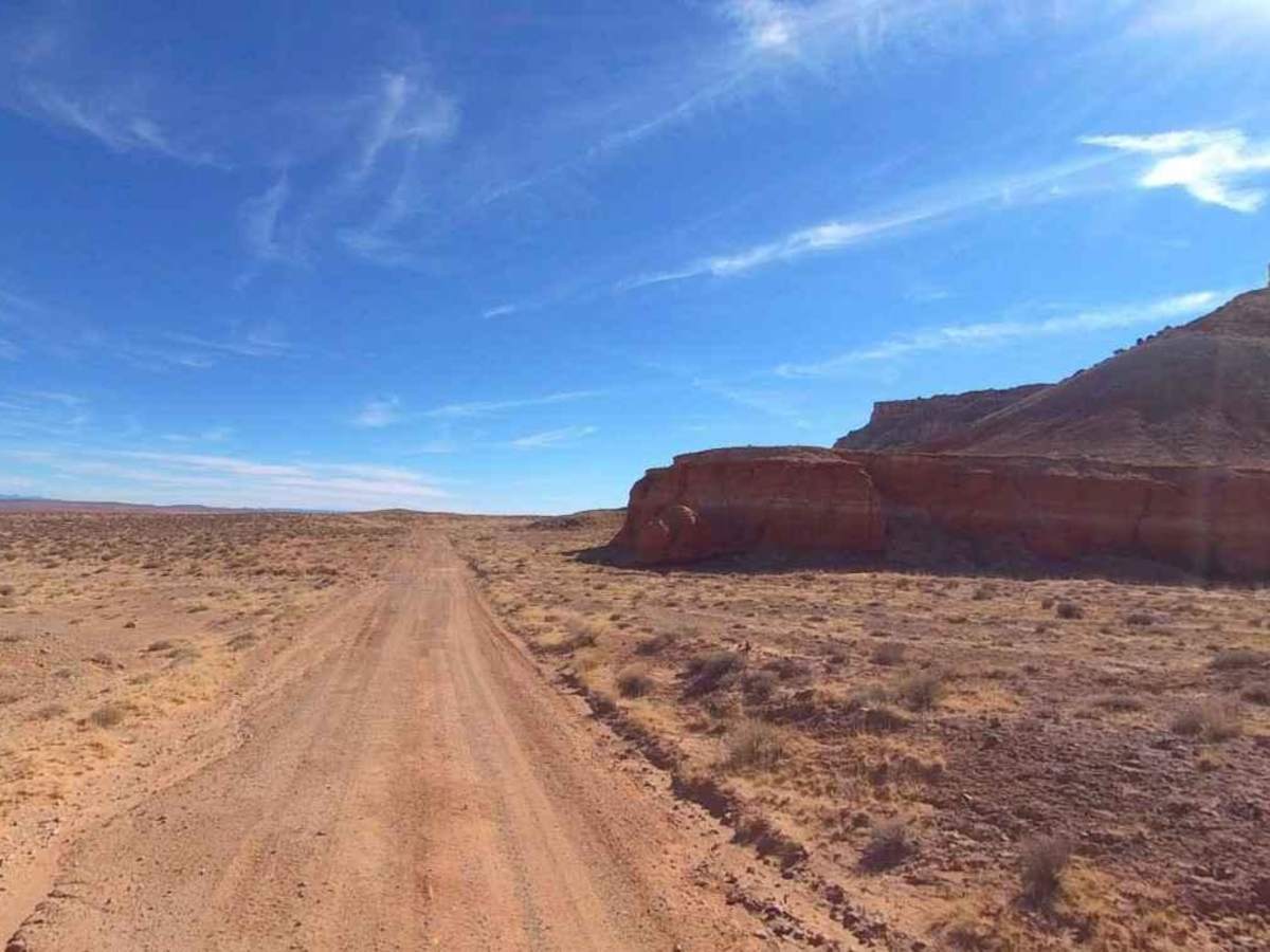 Lone Cedar Road - BLM14900 trail photo