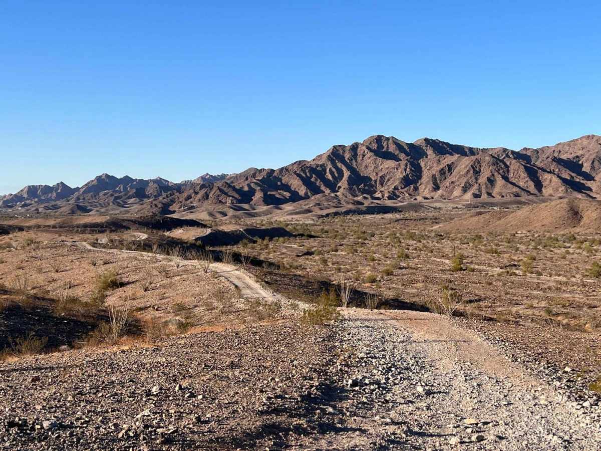 Jesters Trailhead trail photo