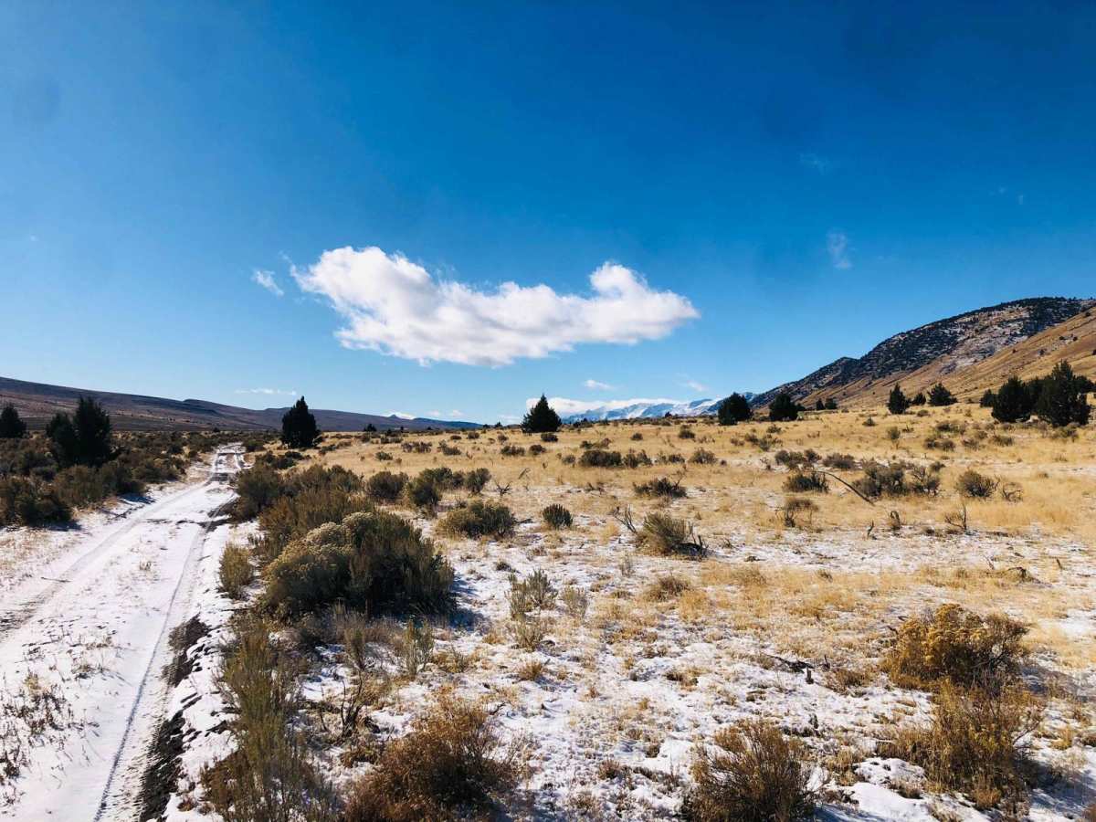 Lakebed Cutover photo 5
