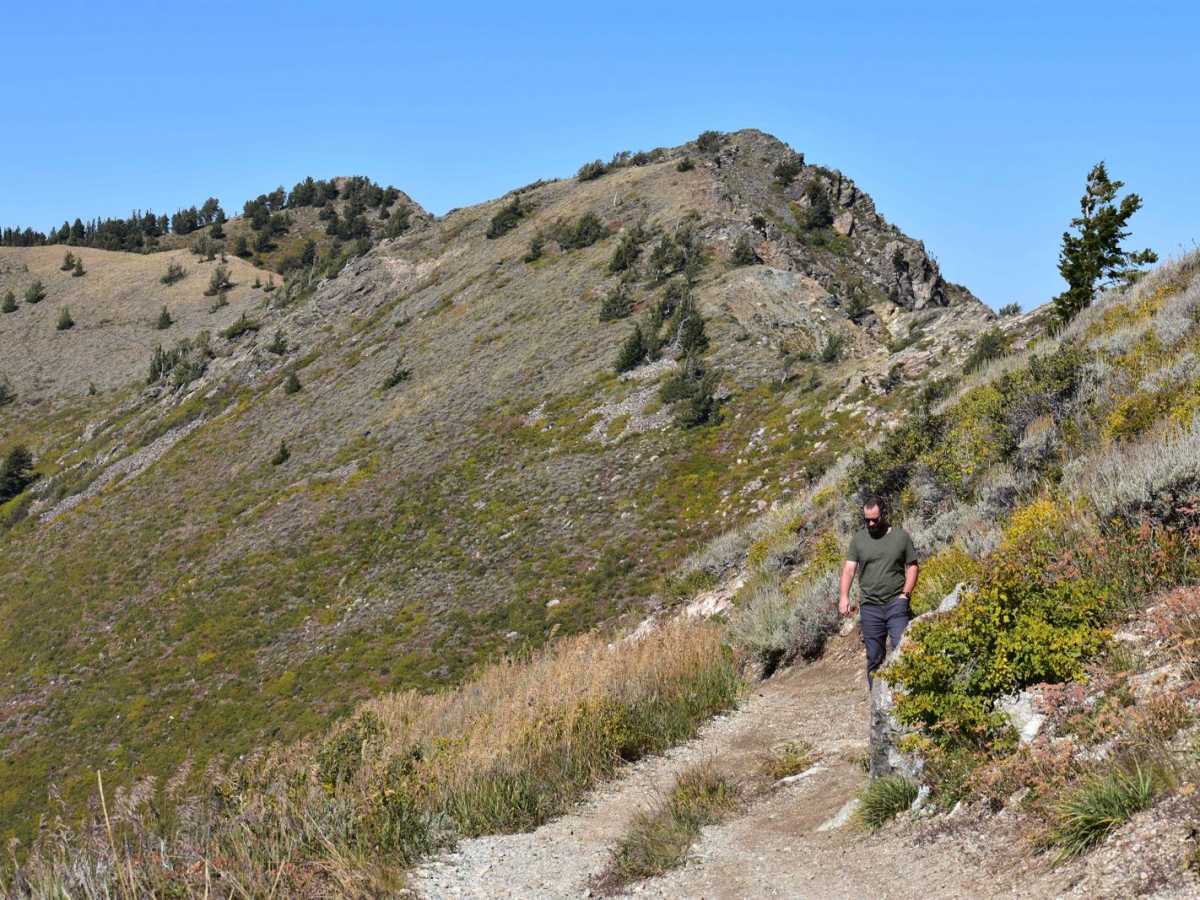 Holmes Creek Road (FR 260) photo 5