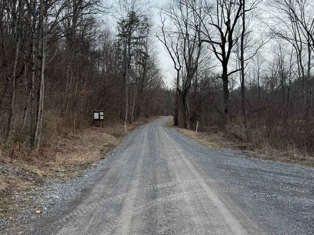 Panther Road trail photo