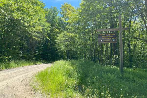 Kennedy State Forest