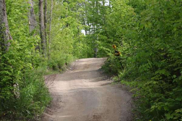 Hill City Trail