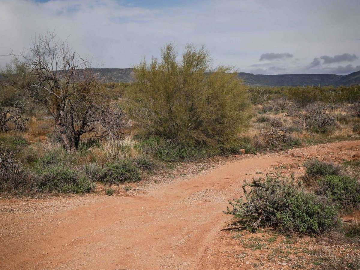 Shoemaker Spring Access Trail photo 3