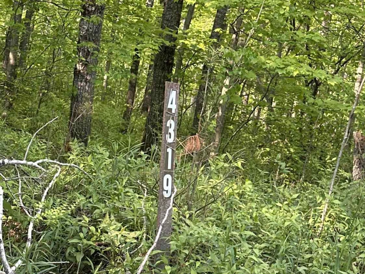 FS 4319 trail photo